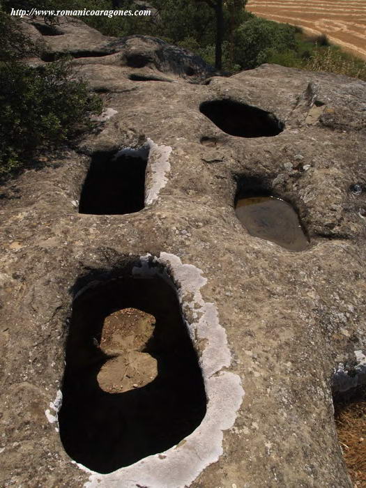 DETALLE DE CAS EN LA PIEDRA DE LOS MOROS